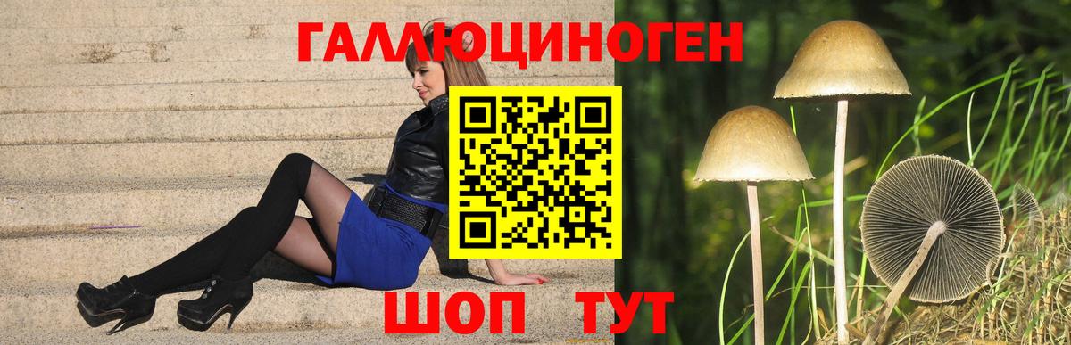 Псилоцибиновые грибы Magic Shrooms  Вход с VPN  Елизово 